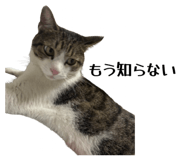 793457982