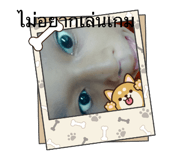 793462354