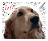 793466624