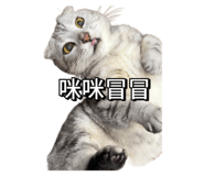 793468641