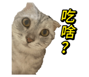 793468645