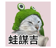 793468647