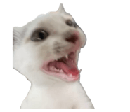 793472281