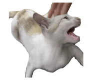 793472298