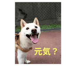 793486040