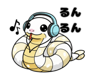 793488685