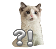 793488956