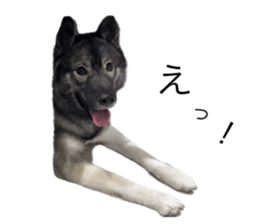 793501069