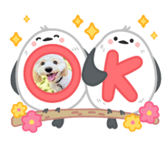 793502416