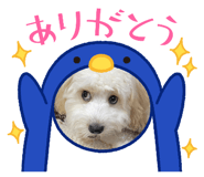 793502423