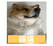 793522285
