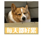 793522290