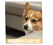 793522292