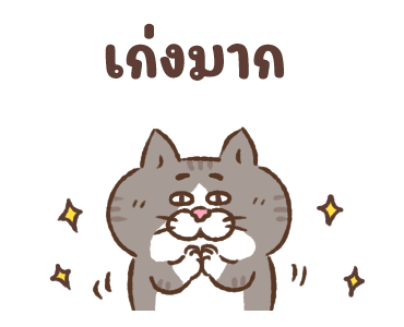 ลายที่ 13