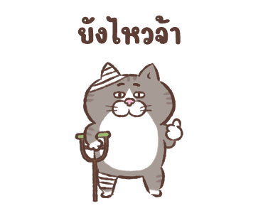 ลายที่ 17