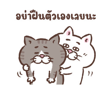 ลายที่ 19