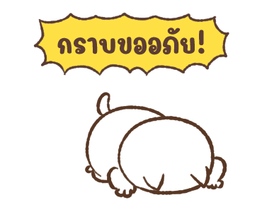 ลายที่ 23