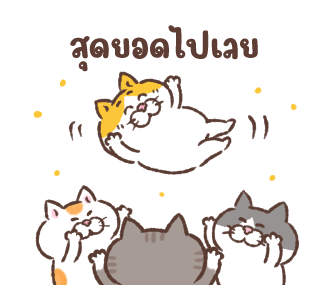 ลายที่ 29