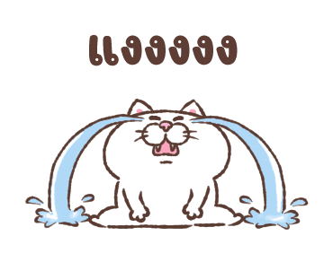 ลายที่ 31