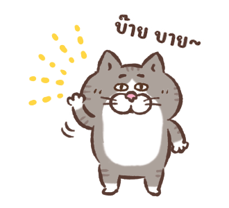 ลายที่ 43