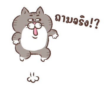 ลายที่ 45