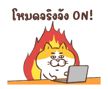 ลายที่ 47