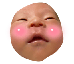 793526246