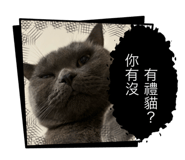 793528041