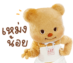 ลายที่ 23