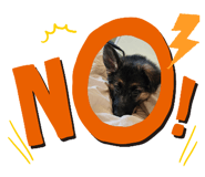 793548970