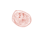 793555098