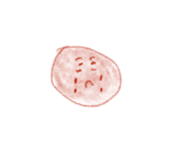 793555099