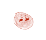 793555100