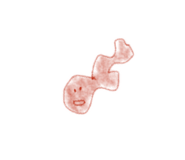 793555102