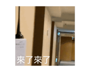 793555456