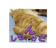793556873