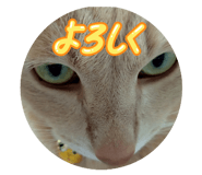 793556875