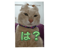 793556881