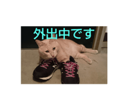 793556887