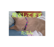 793556888