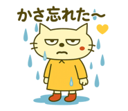 793559778