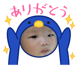 793560850