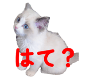793561315