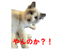 793561317