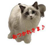 793561318