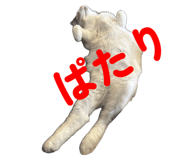 793561320