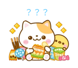 793562670