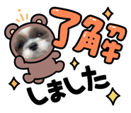 793562938