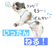 793562966