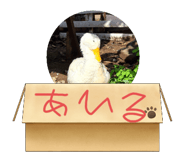 793576965